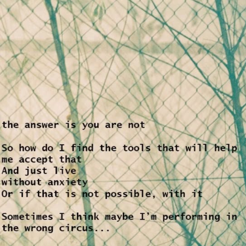 Dichtbundel: The Longing of Not Being