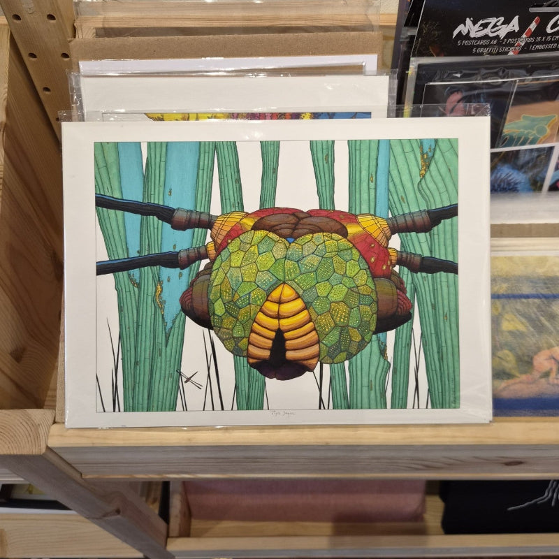 Print 'Thijs Jager' Dragonfly
