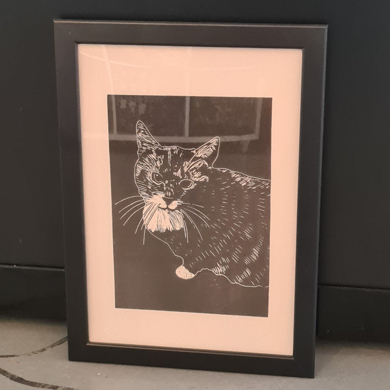 Kattenkrent Lino 'HENKIE' in lijst
