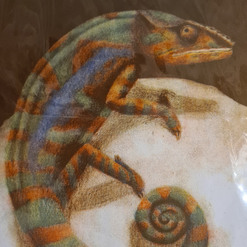 Welmaakt 'Kameleon' riso-print