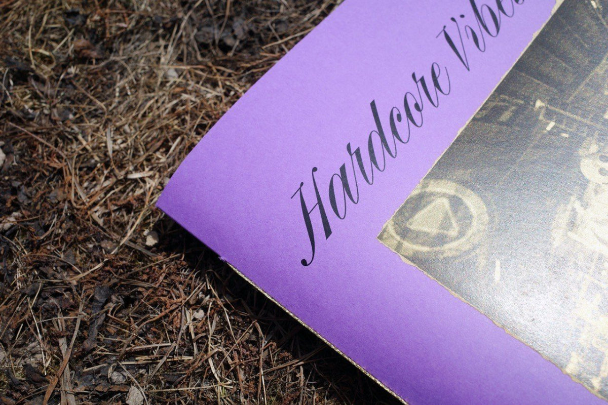 Boek: Hardcore Vibes