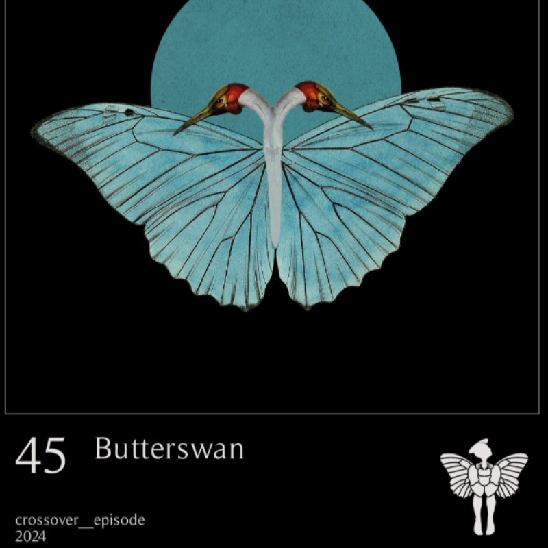 Kaart 'Butterswan'