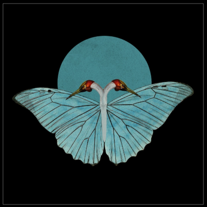 Kaart 'Butterswan'