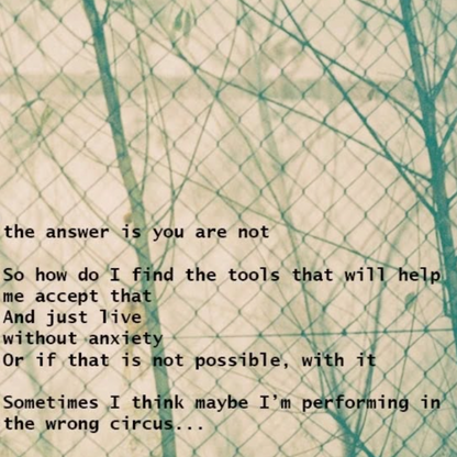 Dichtbundel: The Longing of Not Being