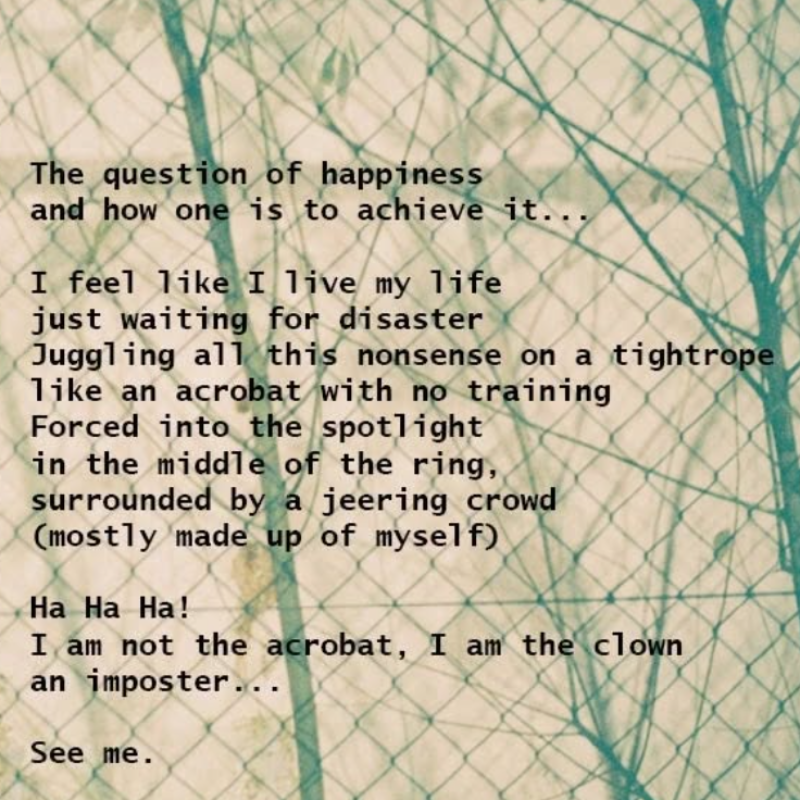 Dichtbundel: The Longing of Not Being