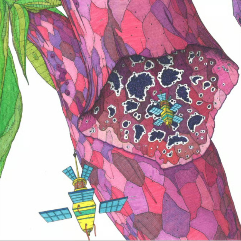 Print 'Thijs Jager' Digitalis Purpurea