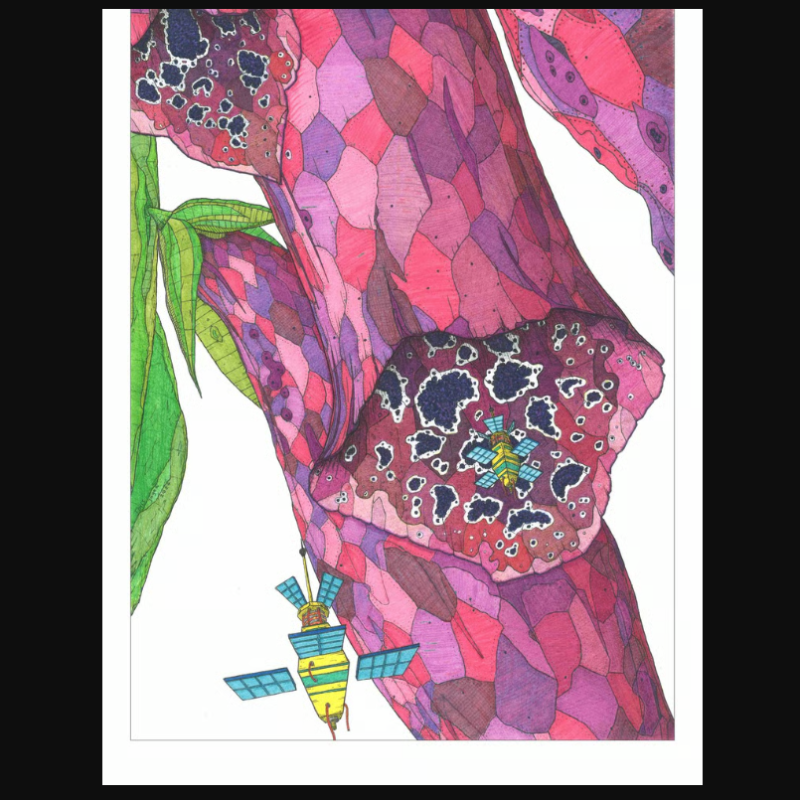 Print 'Thijs Jager' Digitalis Purpurea