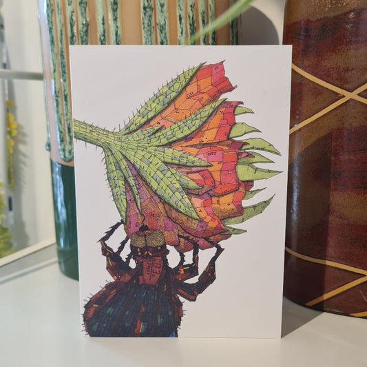 Kaart 'Trifolium' Klaver