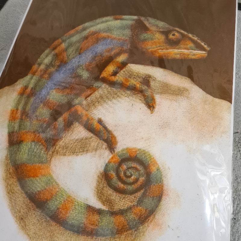 Welmaakt 'Kameleon' riso-print