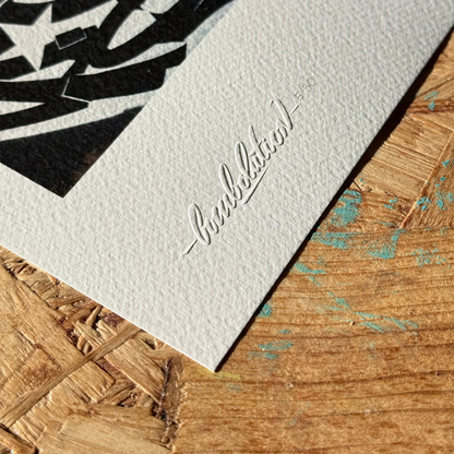 Artprint 'Gaze of Shadows' Combolution