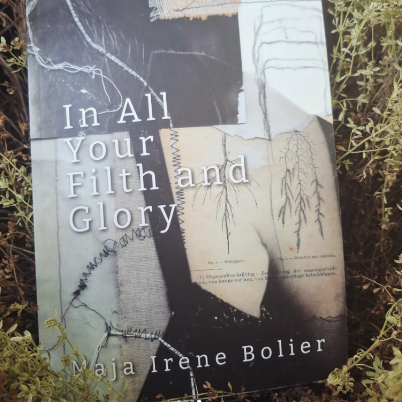 Dichtbundel: In All Your Filth and Glory