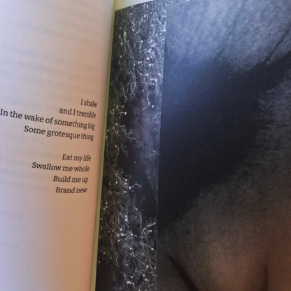 Dichtbundel: In All Your Filth and Glory