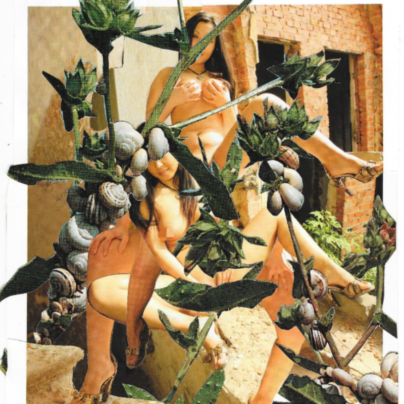 Artwork 'Yesterday's Harvest'