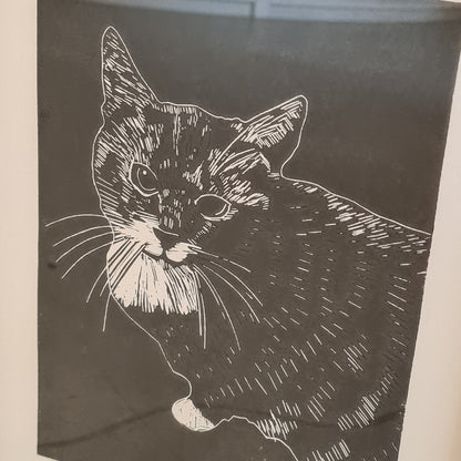Kattenkrent Lino 'HENKIE' in lijst