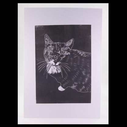 Kattenkrent Lino 'HENKIE' in lijst