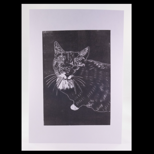 Kattenkrent Lino 'HENKIE' in lijst