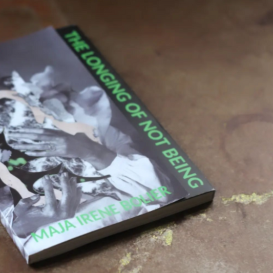 Dichtbundel: The Longing of Not Being