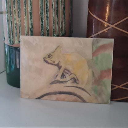 Kaart Welmaakt 'Kameleon'