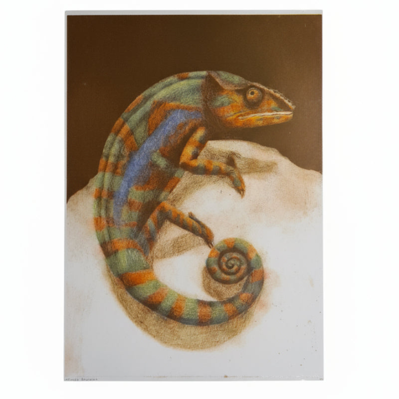 Welmaakt 'Kameleon' riso-print